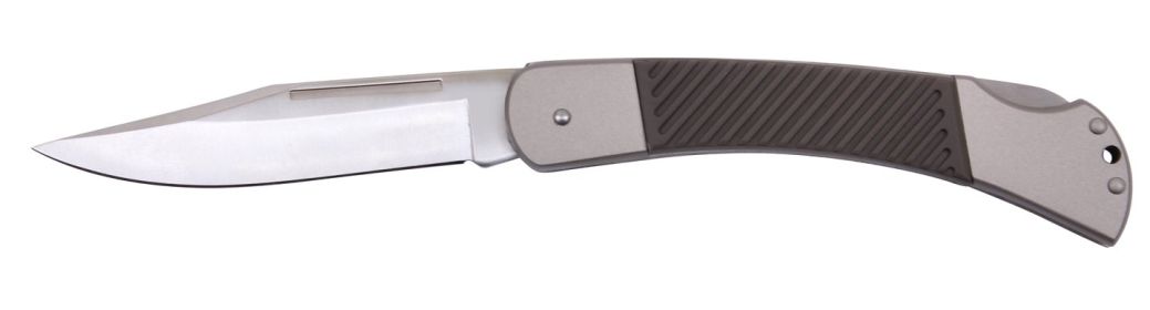 Folding Hunting Knife: Stainless Steel EDC/Survival Pocket Knife