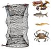 Collapsible Folding Fishing Trap Net for Minnow, Shrimp & Crab