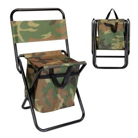 Foldable Fishing Chair with Insulated Cooler Bag & Backrest