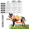 High Visibility Waterproof Dog Vest Fleece Lined Safety Jacket