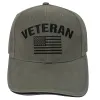 Vintage Veteran Low Profile Cap – Embroidered Patriot Hat